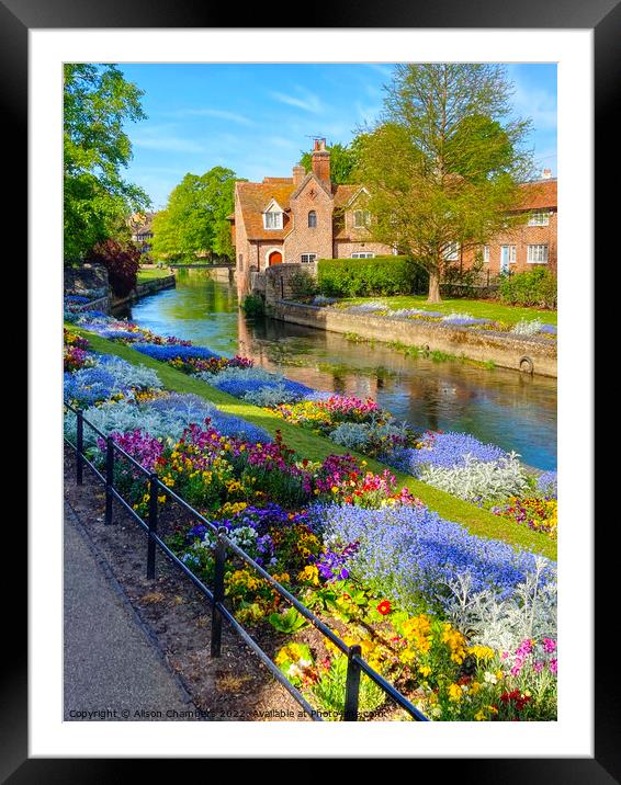 Canterbury Westgate Park Gardens Framed Mounted Print by Alison Chambers