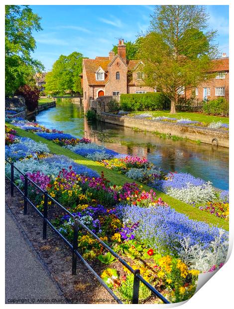 Canterbury Westgate Park Gardens Print by Alison Chambers
