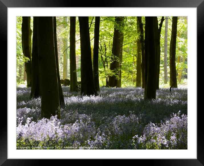 Bluebell woodland Framed Mounted Print by Simon Johnson