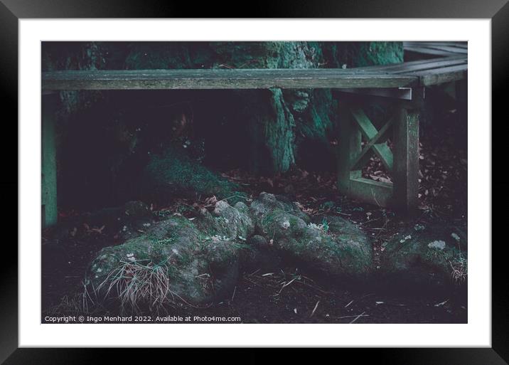 Closeup shot of tree root Framed Mounted Print by Ingo Menhard