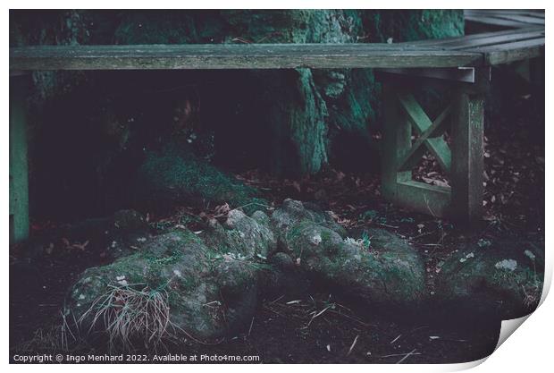 Closeup shot of tree root Print by Ingo Menhard