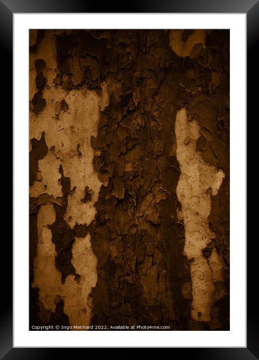 Vertical shot of an old tree trunk bark - perfect for background Framed Mounted Print by Ingo Menhard