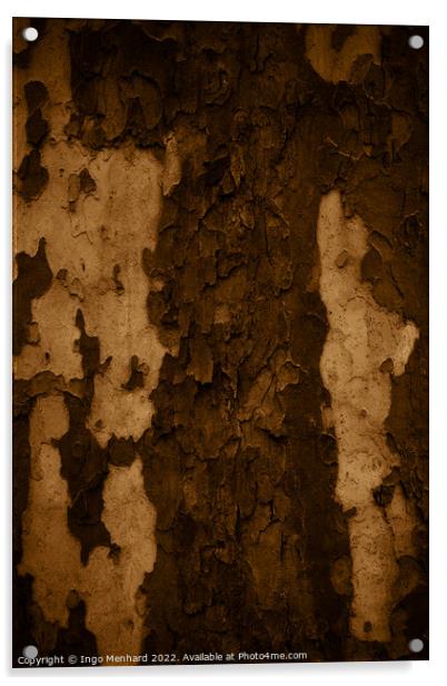 Vertical shot of an old tree trunk bark - perfect for background Acrylic by Ingo Menhard