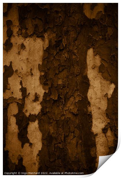 Vertical shot of an old tree trunk bark - perfect for background Print by Ingo Menhard