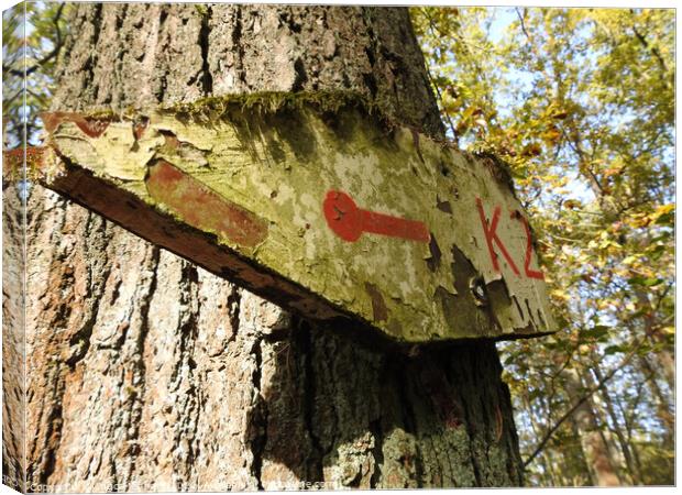 Low angle view of an old and weathered sign on the trunk of the tree pointing to the left Canvas Print by Ingo Menhard