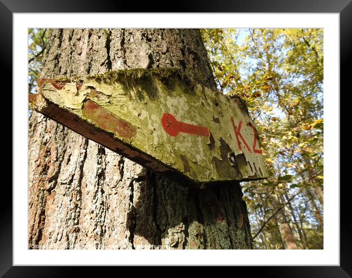 Low angle view of an old and weathered sign on the trunk of the tree pointing to the left Framed Mounted Print by Ingo Menhard
