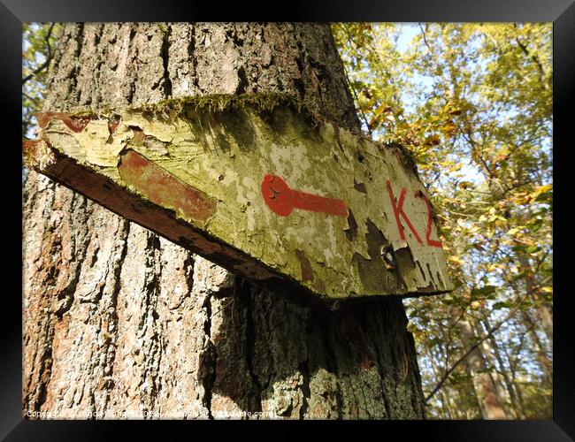 Low angle view of an old and weathered sign on the trunk of the tree pointing to the left Framed Print by Ingo Menhard