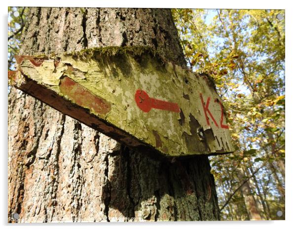 Low angle view of an old and weathered sign on the trunk of the tree pointing to the left Acrylic by Ingo Menhard
