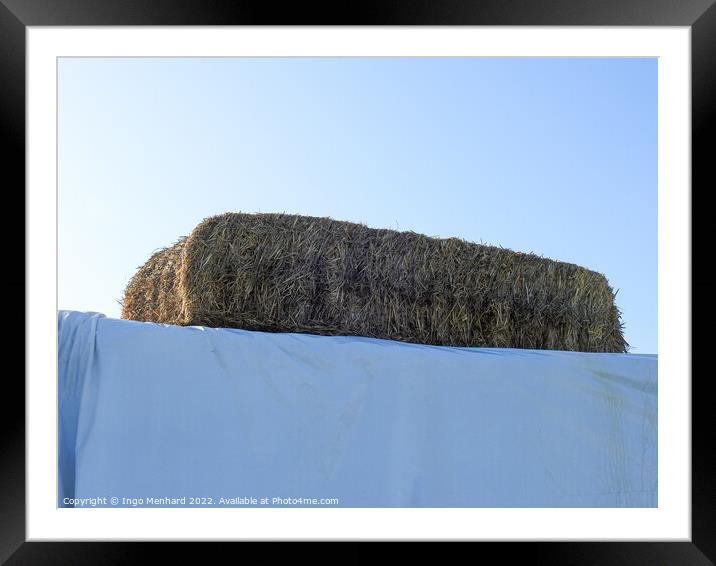 Hay stacked on a construction covered by white textile Framed Mounted Print by Ingo Menhard