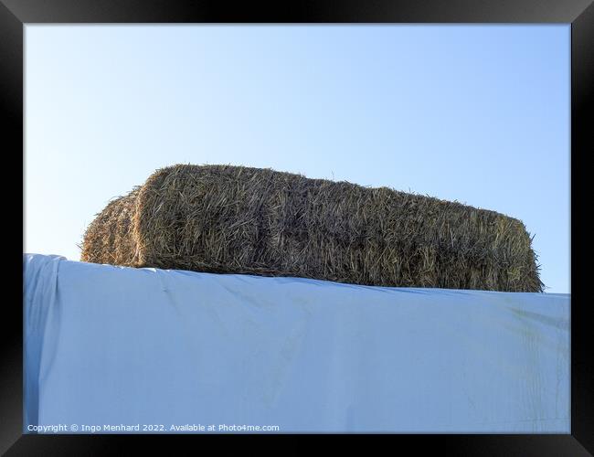 Hay stacked on a construction covered by white textile Framed Print by Ingo Menhard