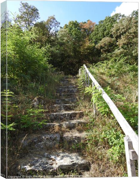 A green park with old ascending stairs Canvas Print by Ingo Menhard