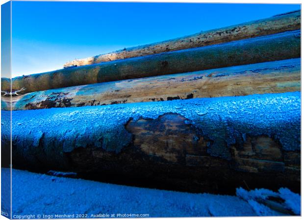 Pile of logs covered with snow at sunset Canvas Print by Ingo Menhard