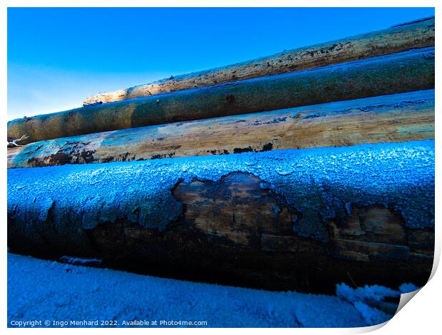 Pile of logs covered with snow at sunset Print by Ingo Menhard