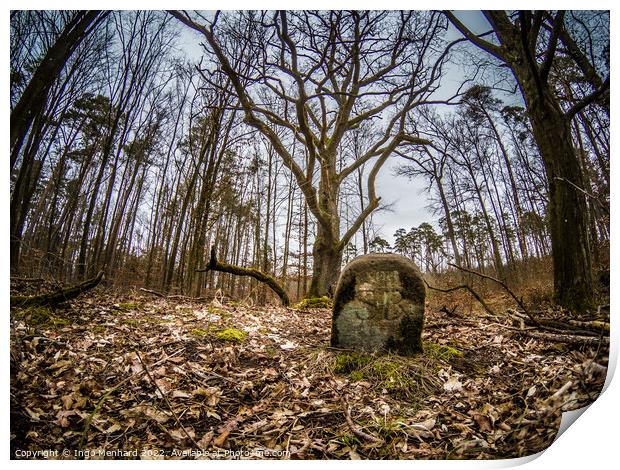 Close up shot of a gravestone in an autumnal forest Print by Ingo Menhard