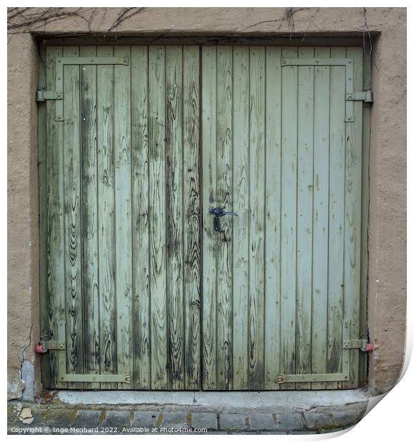 The old wooden green door with a rusty lock and handle Print by Ingo Menhard