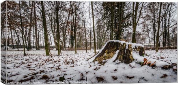 Cut tree trunk covered by the snow in winter Canvas Print by Ingo Menhard