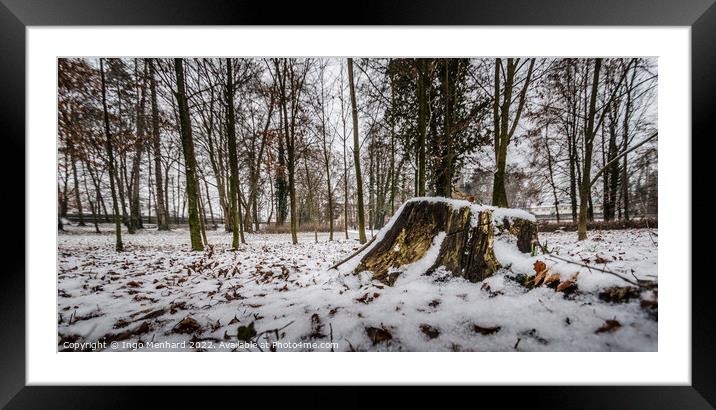 Cut tree trunk covered by the snow in winter Framed Mounted Print by Ingo Menhard