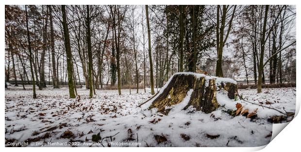 Cut tree trunk covered by the snow in winter Print by Ingo Menhard