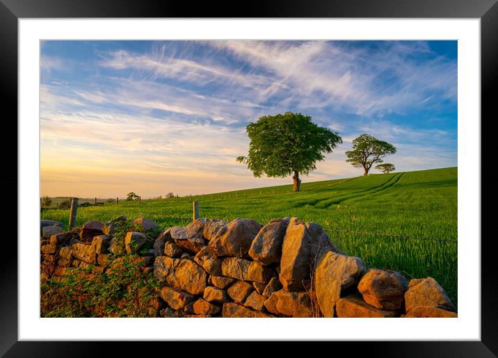 Evening view of field Framed Mounted Print by Michael Brookes