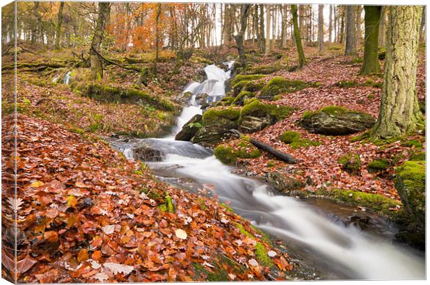Elan Valley Autumn Waterfall Canvas Print by Ian Collins