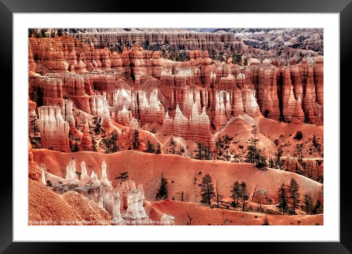 Everywhere a Hoodoo Framed Mounted Print by Donna Kennedy