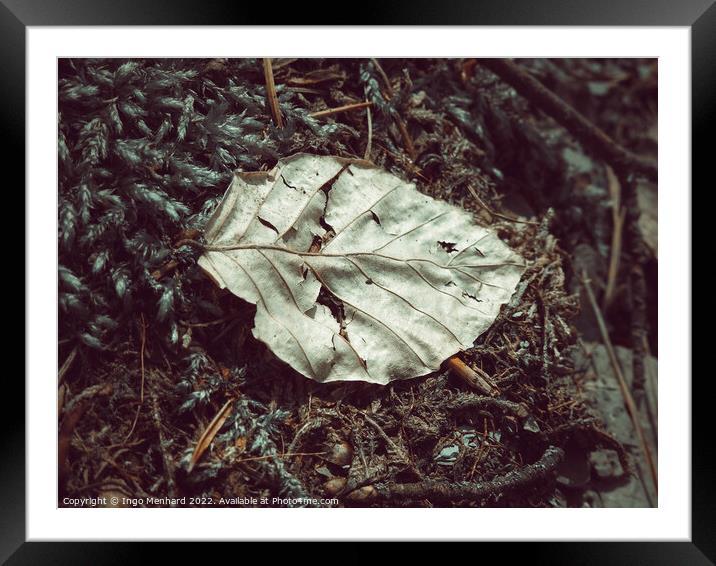 Aged leaf on the ground Framed Mounted Print by Ingo Menhard