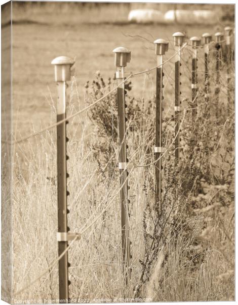 A vertical shot of a fence in the field Canvas Print by Ingo Menhard