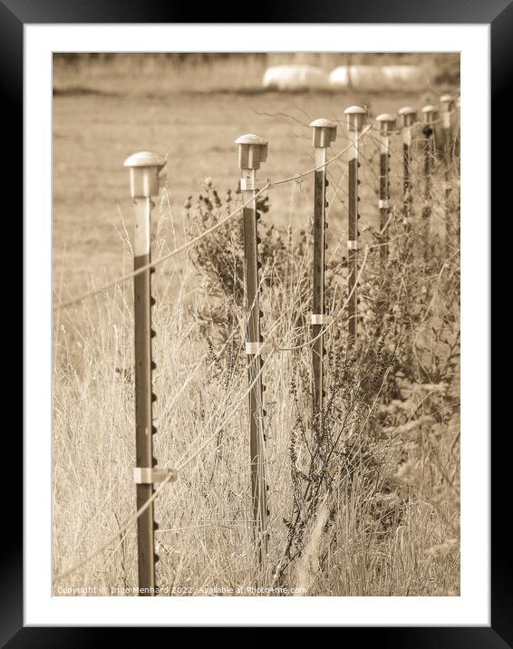 A vertical shot of a fence in the field Framed Mounted Print by Ingo Menhard