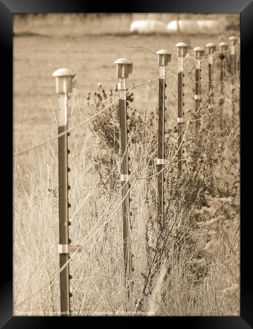 A vertical shot of a fence in the field Framed Print by Ingo Menhard