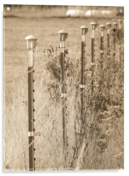 A vertical shot of a fence in the field Acrylic by Ingo Menhard