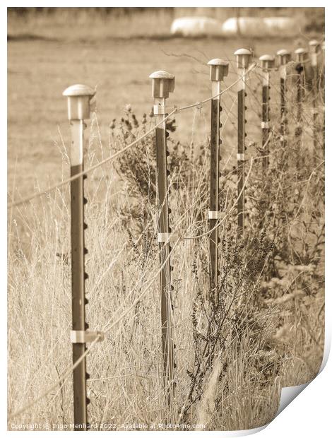 A vertical shot of a fence in the field Print by Ingo Menhard
