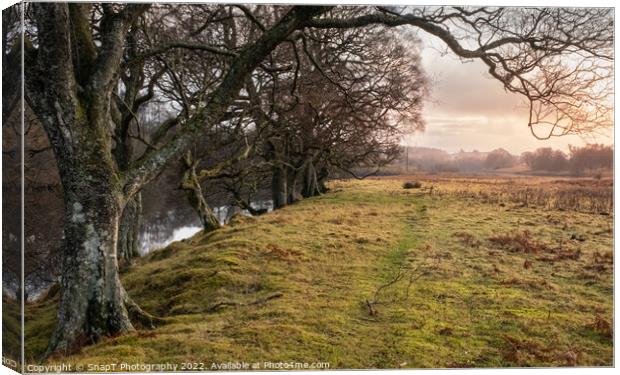 A treelined trail along the Water of Ken river at Kendoon at sunset in winter Canvas Print by SnapT Photography