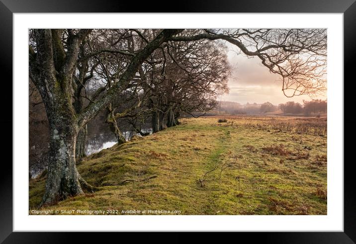 A treelined trail along the Water of Ken river at Kendoon at sunset in winter Framed Mounted Print by SnapT Photography