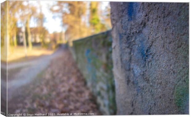 Closeup shot of a stone fence texture in a park Canvas Print by Ingo Menhard