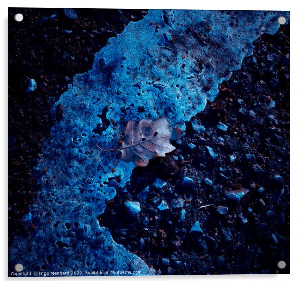 Single leaf on the asphalt Acrylic by Ingo Menhard
