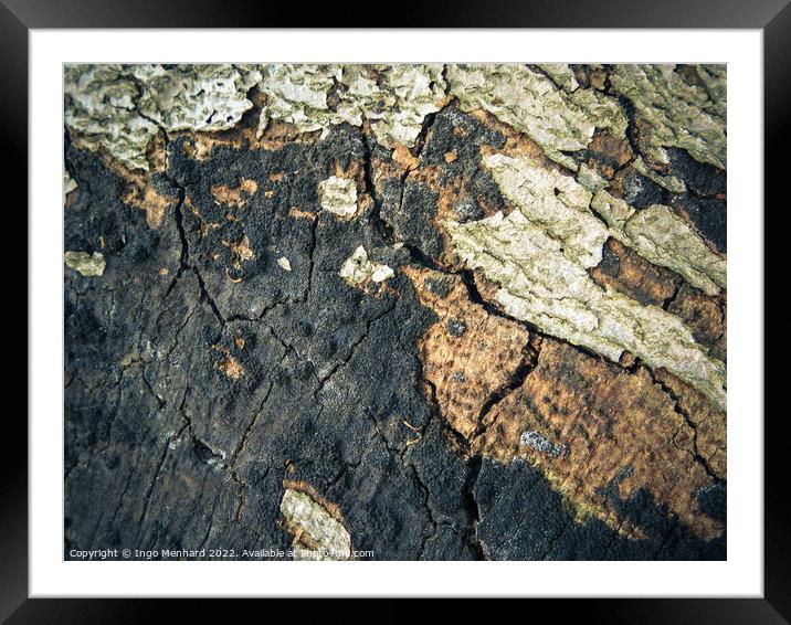 A cracked old bark texture Framed Mounted Print by Ingo Menhard