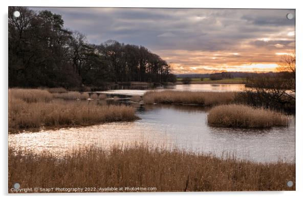 Sunset over islands and channels on the River Dee at Threave Estate in winter Acrylic by SnapT Photography
