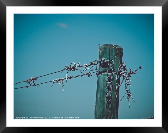 Wooden plank used for viticulture Framed Mounted Print by Ingo Menhard