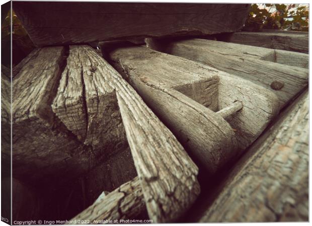 Closeup shot of old wooden boards in the forest Canvas Print by Ingo Menhard