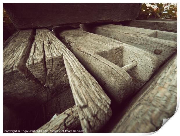 Closeup shot of old wooden boards in the forest Print by Ingo Menhard