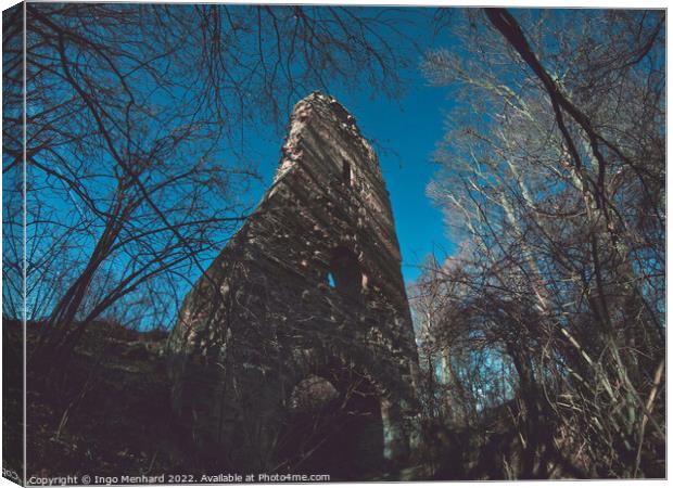 Old ruin in the forest Canvas Print by Ingo Menhard
