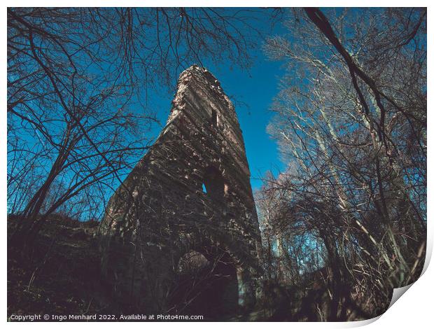 Old ruin in the forest Print by Ingo Menhard