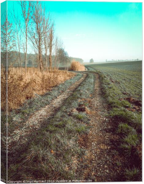 Vertical shot of a path in a dried field under blue sky Canvas Print by Ingo Menhard