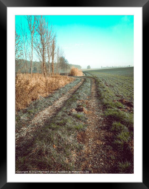 Vertical shot of a path in a dried field under blue sky Framed Mounted Print by Ingo Menhard