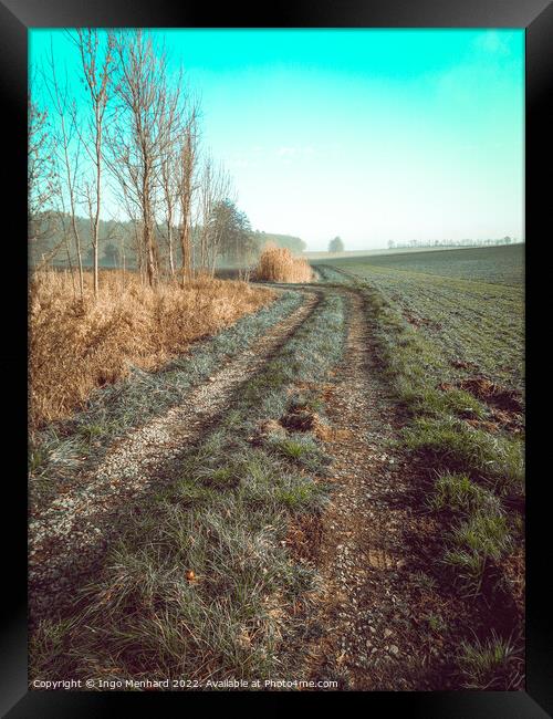 Vertical shot of a path in a dried field under blue sky Framed Print by Ingo Menhard