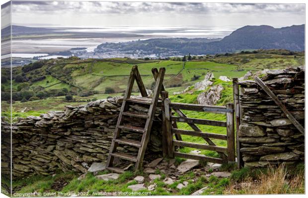 Path to Porthmadog and the sea. Canvas Print by David Thurlow