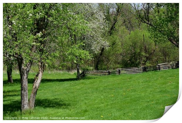 Old Fence line Landscape 3A Print by Philip Lehman