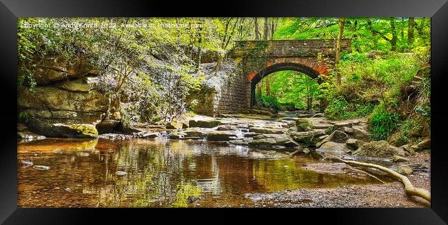 The Majestic Bridge Over Falling Foss Framed Print by Andy Smith