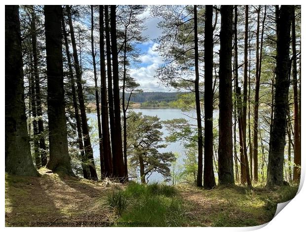 Kielder Water Print by David Thompson