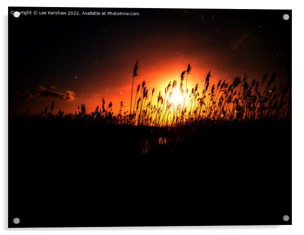 Burning Sunset (Newport Seawall) Acrylic by Lee Kershaw